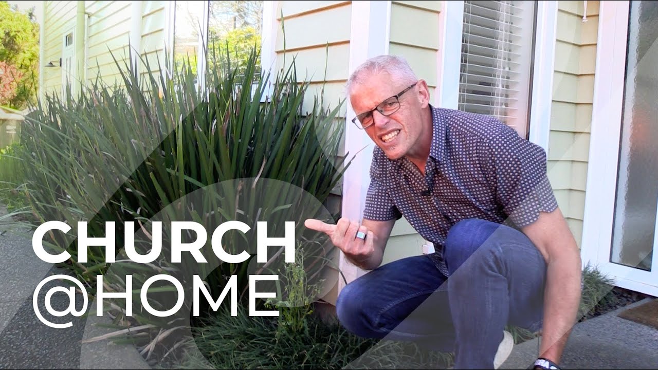 Pulling A Few Weeds | MCBC 17 Oct