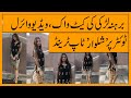 Alina Khan Walk Without Shalwar Viral Video |Pakistani Girl Walking Without “Shalwar” |Shalwar Trend