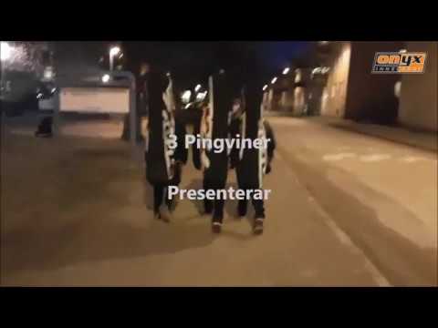 Nykvarns IF  VS  Onyx IBS