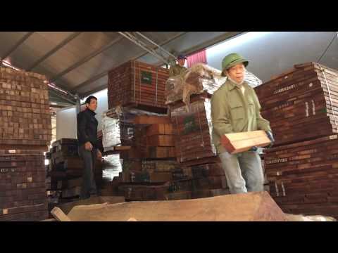 Chuyên sỉ lẻ Phôi con tiện gỗ Lim nam phi kích thước 6 x 6 x (80-160)cm giá 23tr/ m3