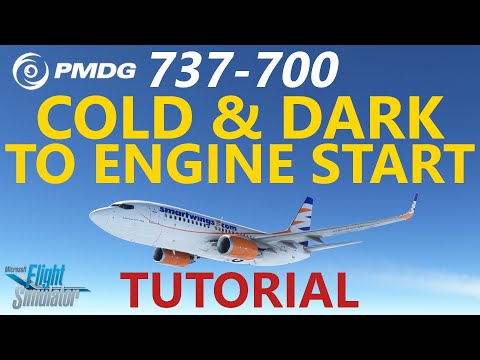 MSFS | PMDG 737 Tutorial Episode 1: Cold & Dark to Engine Start - including Route Input!
