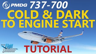 PMDG 737NG Summarised Normal Checklist video