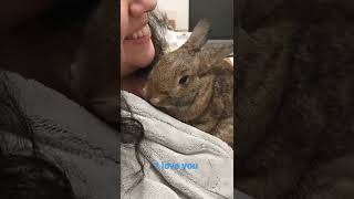 Bunny licking me