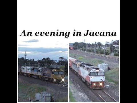 An evening in Jacana 17/10/18