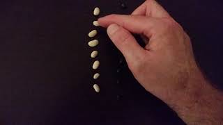 Peppered Moth Lab Part 1