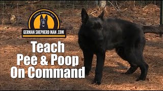 Teach your puppy to Pee & Poo on COMMAND with GSM