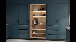 Video de SISTEMA POCKET DOOR REVELIA