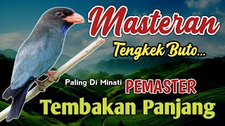 Download lagu MASTERAN TENGKEK BUTO UNTUK CENDET ~ MATERI CEPAT DIHAFAL PALING DICARI PEMASTER mp3