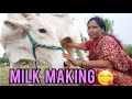 Viral Cow Preparemilking Vlog