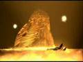 Falling Up - Exhibition - FFX/FFX-2