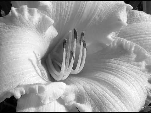 Dub Techno Music Set In The Mix #3 By Klaüs.