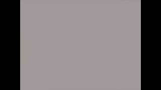 The Oppressed  ~ Skinhead Girl (subtitulada)