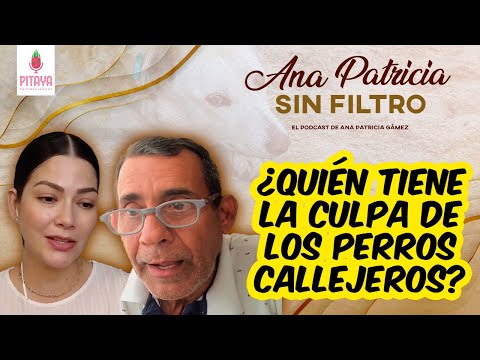 ANA PATRICIA SIN FILTRO - ¿Quién tiene la culpa de los perros callejeros?