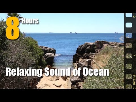 Tropical Beach Ambience Sound with Waves Rolling - Relaxing Day Near The Sea | Full HD | 8 Hours ✔