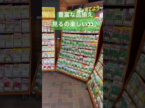 一番長く咲く花は何ですか