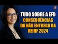 EFD REINF 2024 DESCUBRA AS CONSEQUÊNCIAS DA NÃO ENTREGA E COMO EVITAR MULTAS