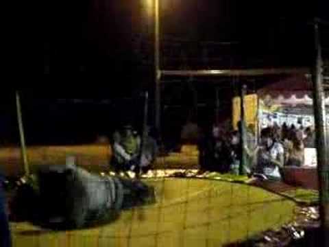 ricardo e muléquinho