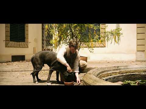 Моя кузина Рэйчел