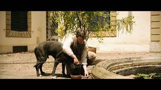 Трейлер: Моя кузина Рэйчел