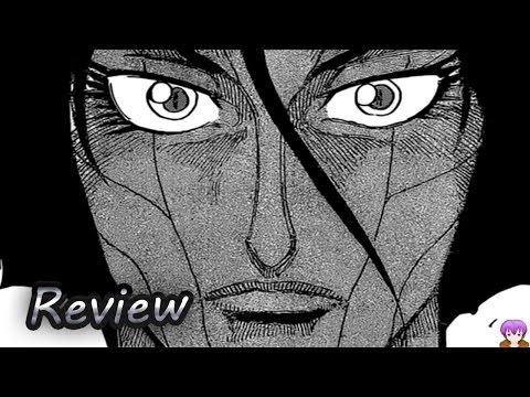 Toriko Chapter 374 Manga Review - Blue & Red Demon vs Neo & Acacia