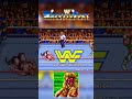 1991 WWF WrestleFest Arcade Commentary