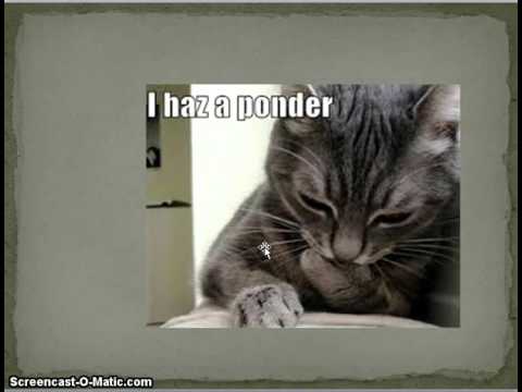 Plutarch's Life of Lycurgus First half