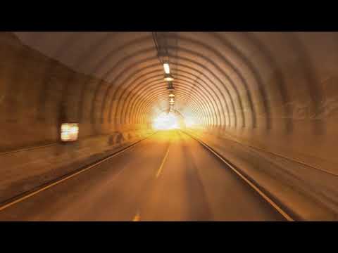 Wellenfeld - Freedom