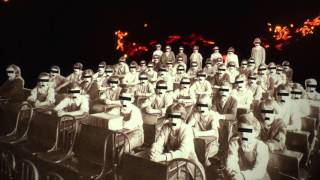 Naked Lights -  Hedges