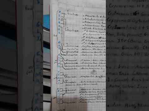 Antibioticos y sus familias: aprendelos fácil y rápido