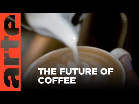 The Future of Coffee | ARTE.tv Documentary