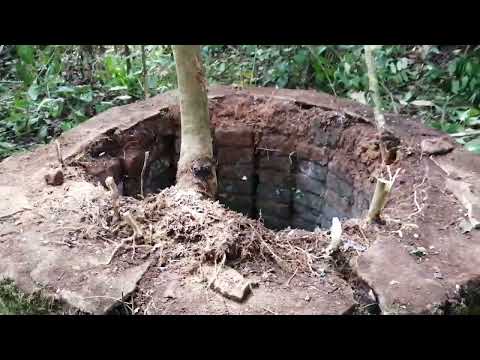 construcción extraña o casa del duende en medio de la selva cascales Sucumbíos Ecuador