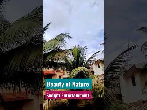#shorts #nature #bhubaneswar #beautifulnature #sudipti entertainment