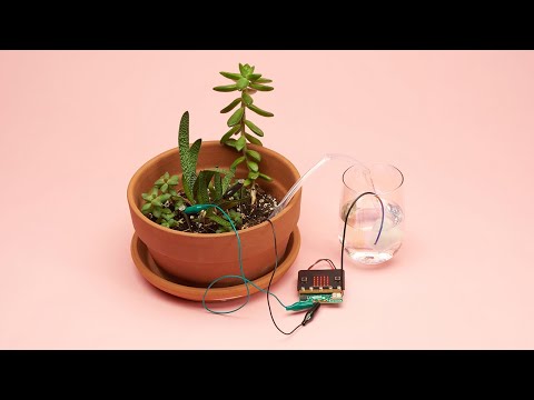 New Products 1/13/2021 featuring Plant Care Kit for micro:bit or CLUE!