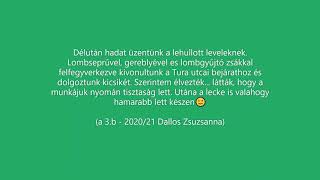 A 3.b lombot gyűjtött 2020.11.