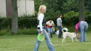 preview picture of video 'Basic hondenschool Alphen aan den Rijn frisbee workshop'