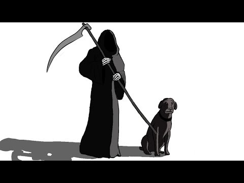 Moro el perro que puede predecir la muerte