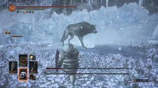 「【DARK SOULS 3】装備重量100％超え縛りカンスト攻略ボス撃破シーン！＃21！王者の墓守＆墓守の大狼戦！