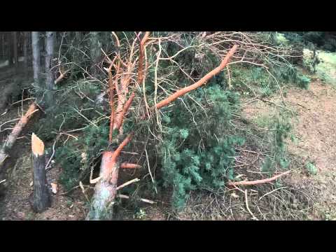 Nawałnica  Stefanowice, Jastrzębsko Nowe  10.08.2014