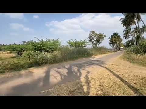  12208 Sq.ft. Agricultural/Farm Land for Sale in Pettavaithalai, Tiruchirappalli