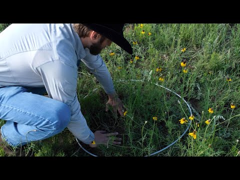 Wild Vermejo | The ground beneath your feet is alive