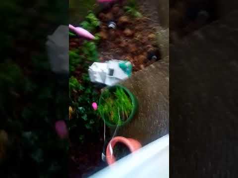 Severe thunderstorm warning for MY COUNTY EAS #4