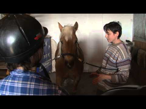 JTV Híradó 2013/15 - 2013.04.14.