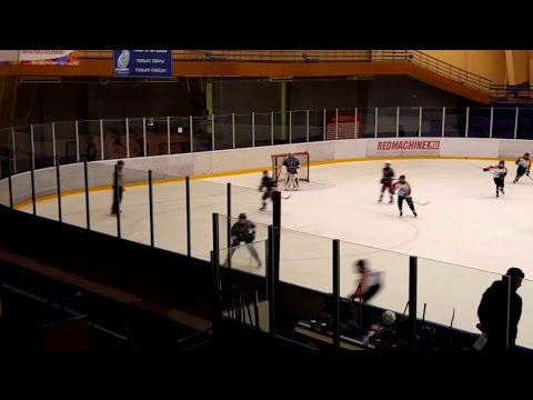 Czech Knights-Kiekko-Tiikerit