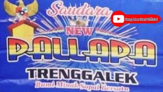 Download lagu Cidro - New Pallapa Karaoke mp3