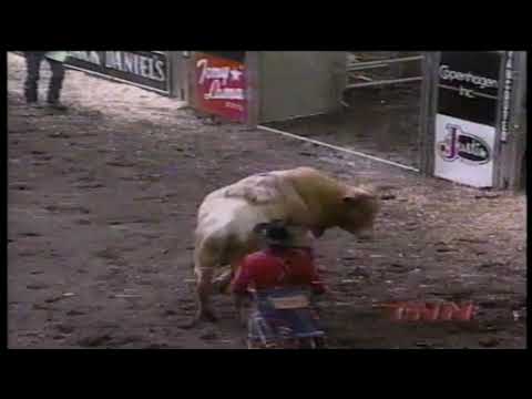 Troy Dunn vs Cattleman's Q91 - 98 PBR Vancouver (88.5 pts)