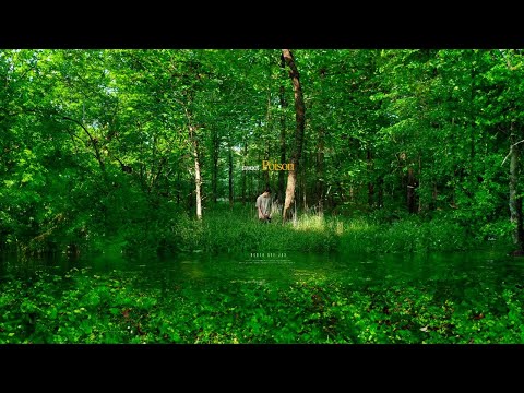 North Ave Jax - Sweet Poison (Official Music Video) [Directed By @itslovekelly]