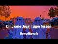 Dil Jaane Jigar Tujpe Nisaar |  ( slowed+reverb ) | lofi song | #lofisong #uditnarayan  #90s