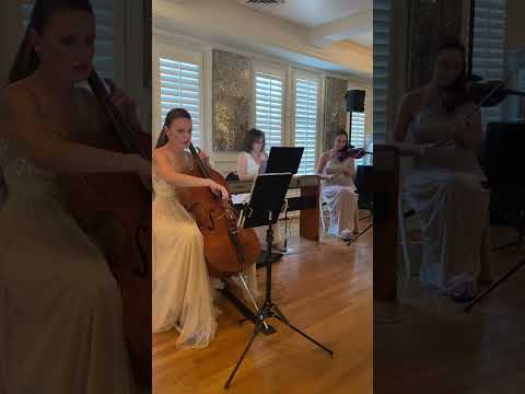 Promotional video thumbnail 2 for Acoustic/Electric Cellist