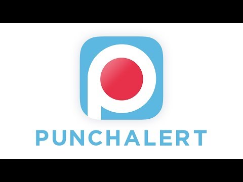 PunchAlert