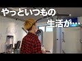 やっといつもの筋トレ生活が…